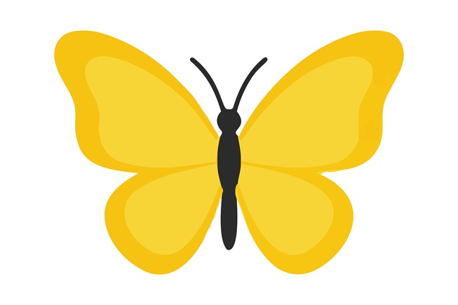 motyl symbol